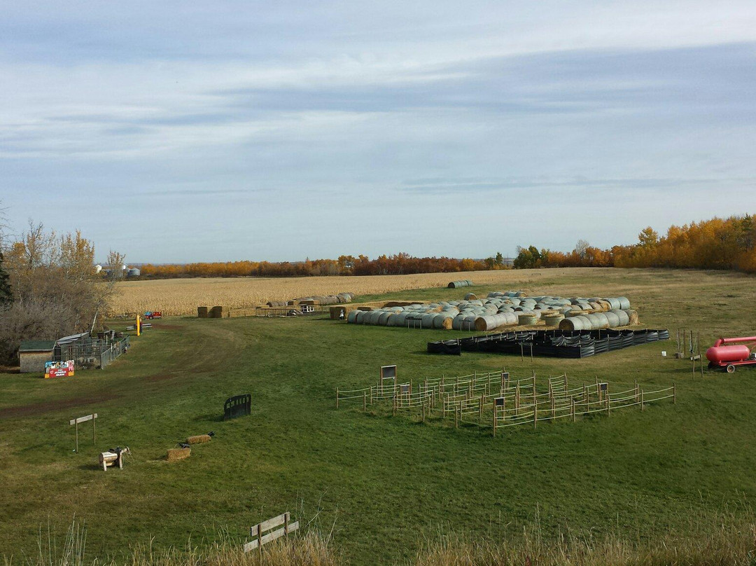 丛林农场-红鹿市必去景点