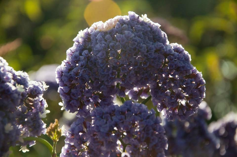 Museo Jardín De Los Sentidos-特鲁希略必去景点