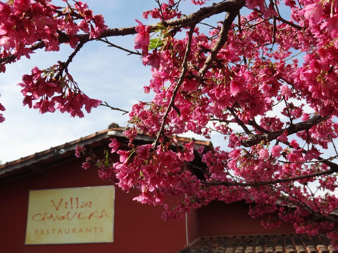 Villa Canguera Restaurante