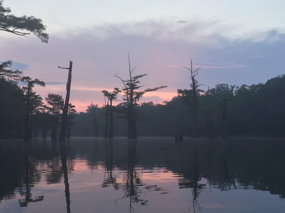 Moro Bay State Park景点图片