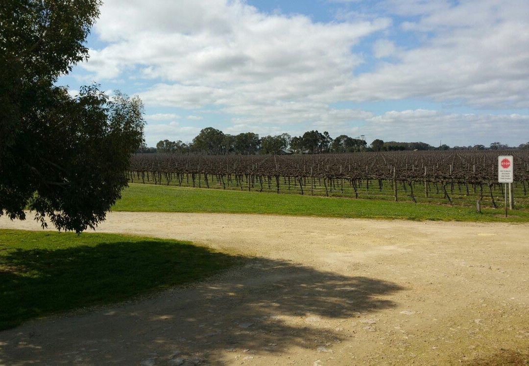 Penley Estate-Coonawarra必去景点
