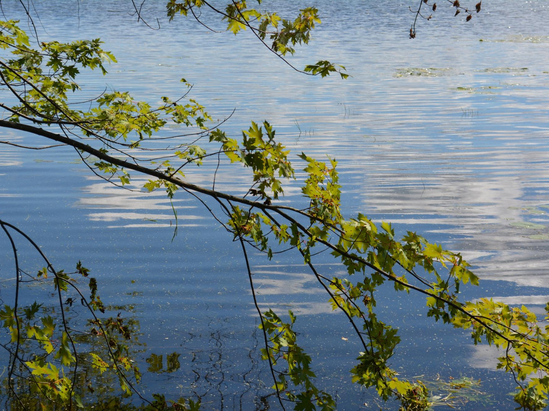 Rideau River Provincial Park景点图片