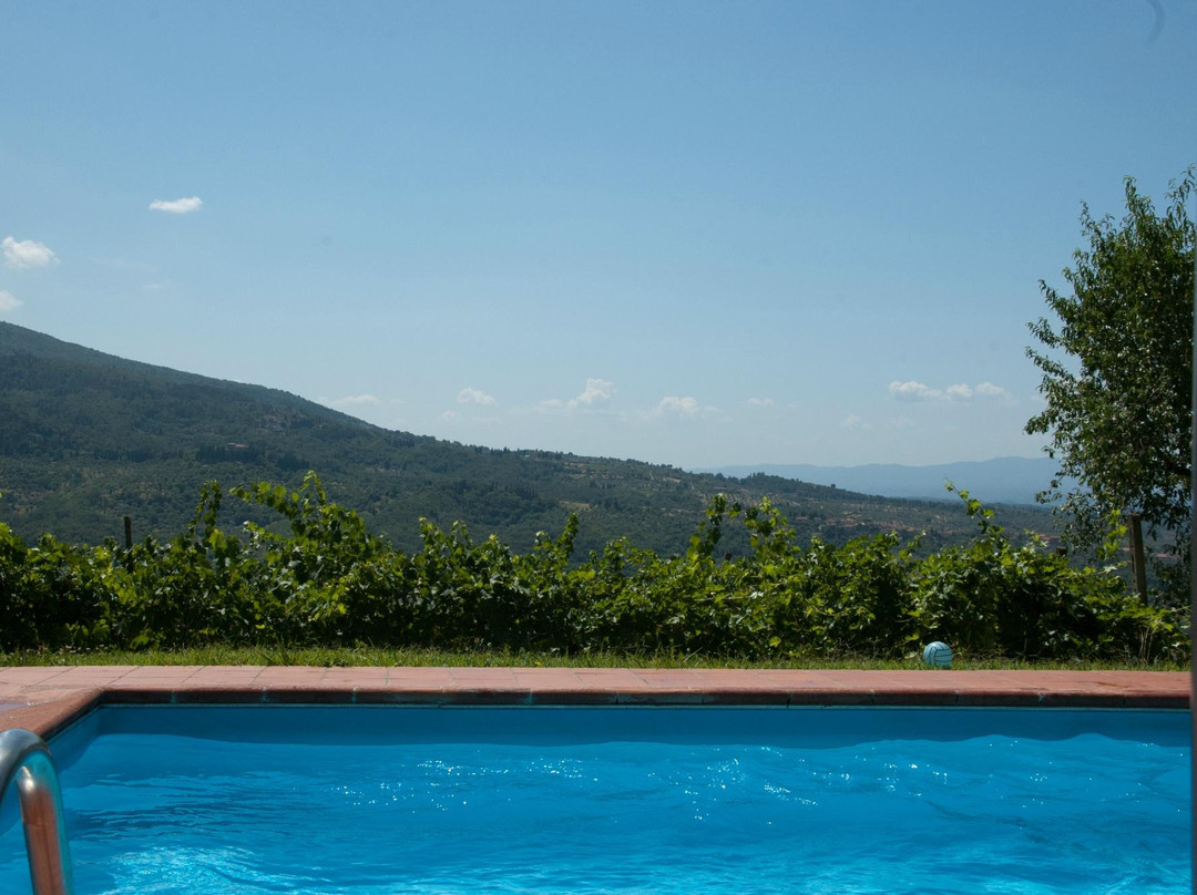 Agriturismo Poggio di Montepescoli