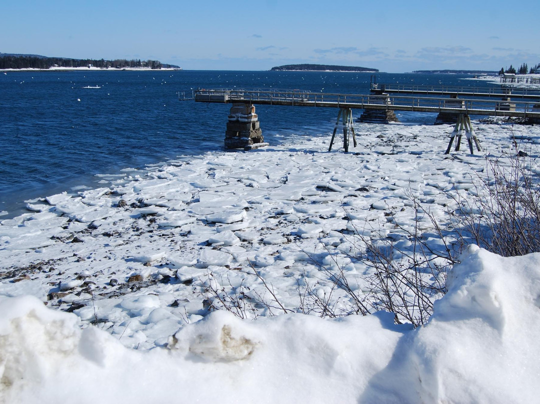 Bear Island旅游攻略图片