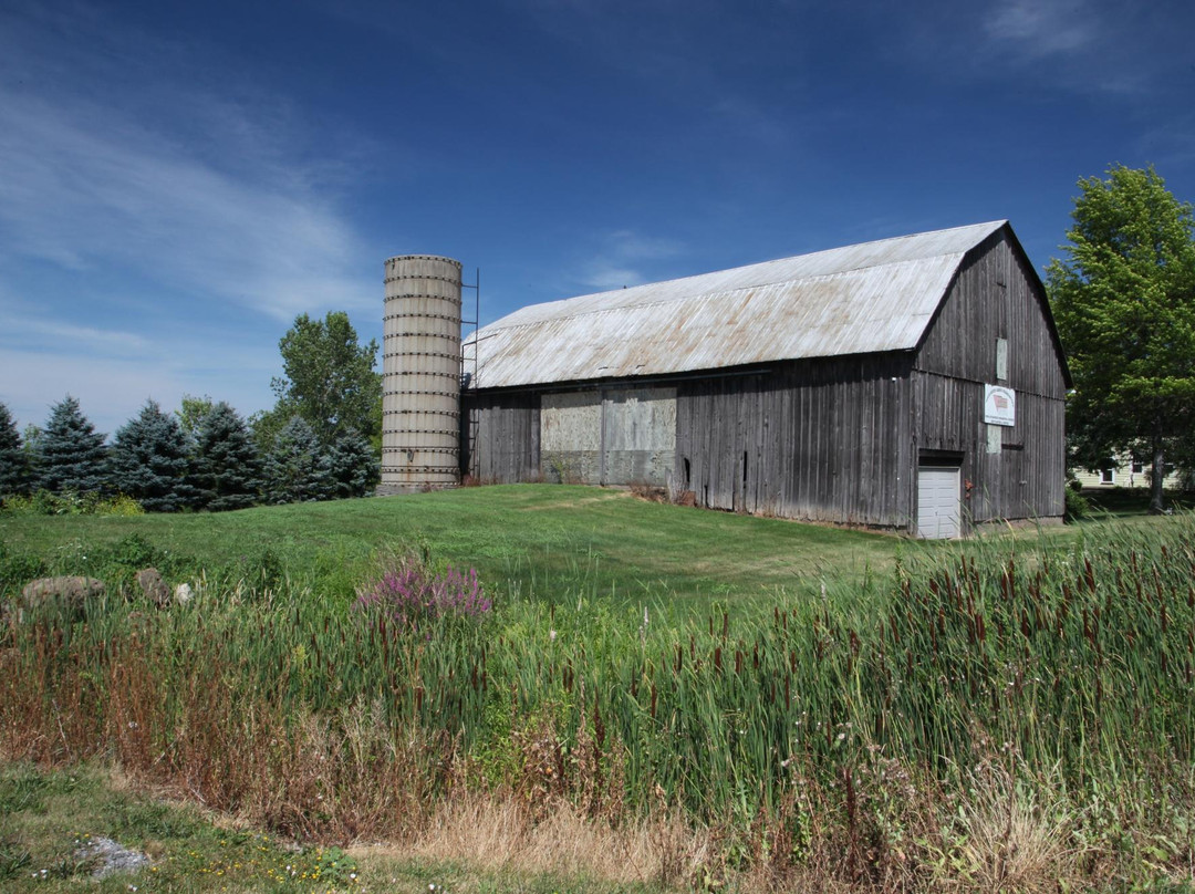 Niagara Wine Trail USA-尼亚加拉大瀑布必去景点