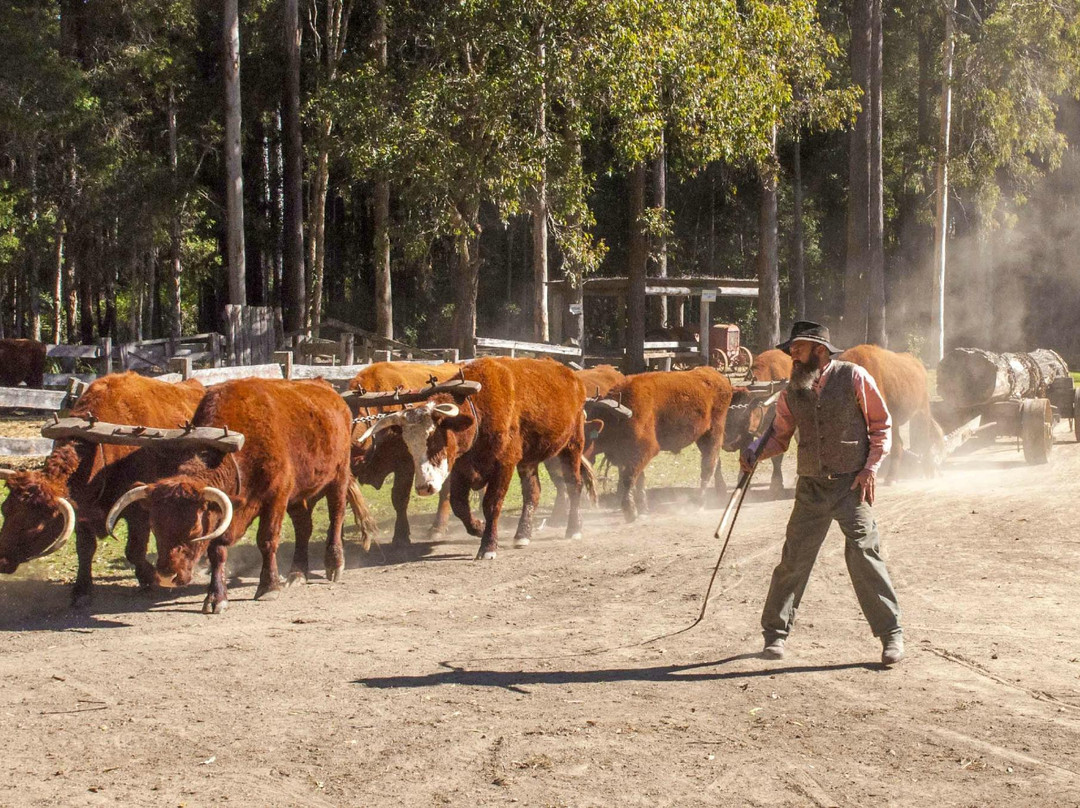 Wauchope旅游景点-Timbertown Wauchope