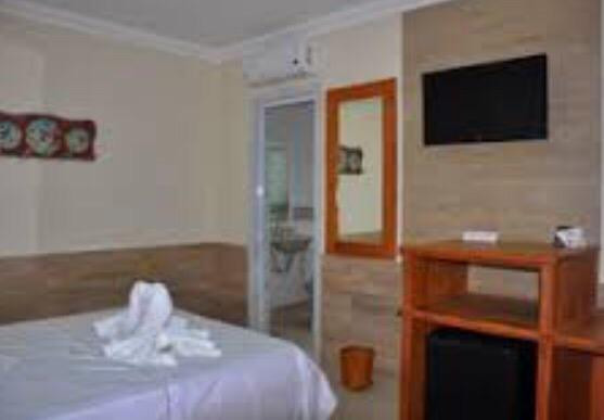 Bale Dos Vagalumes主图