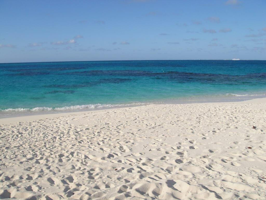 索尔特岛-Salt Cay必去景点