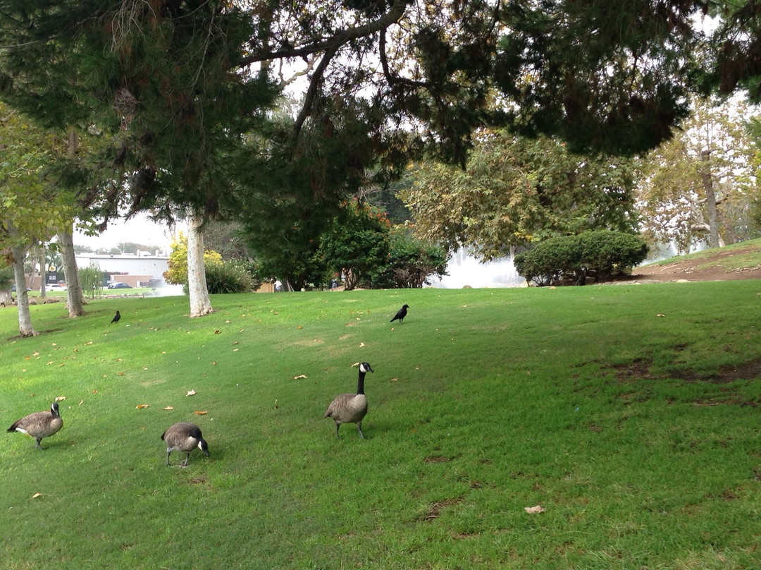 Tewinkle Park-科斯塔梅沙必去景点
