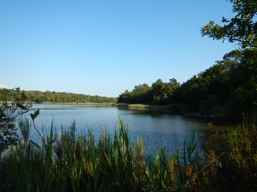 Lac Jemaye Regional Park景点图片
