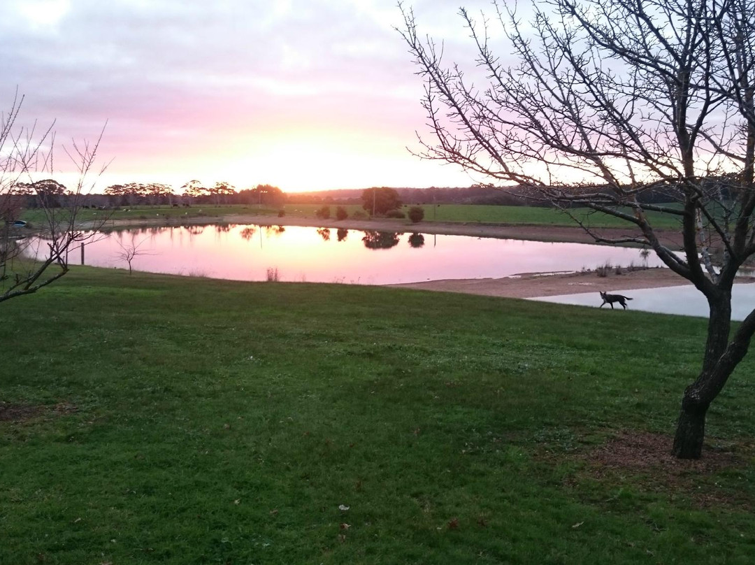 Lost Lake Winery-彭伯顿必去景点