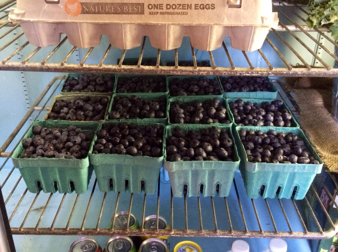 Bird Haven Blueberry Farm景点图片