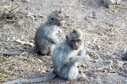 Bali Water Sport-金塔马尼必去景点