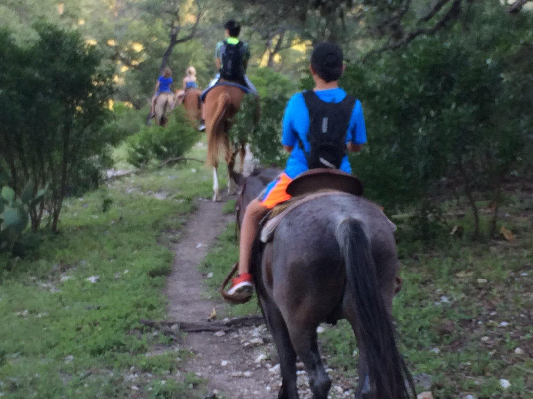 Elm Creek Stables-Leakey必去景点