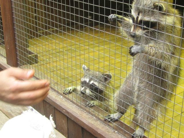 Ostrich Farm-Kurgan必去景点