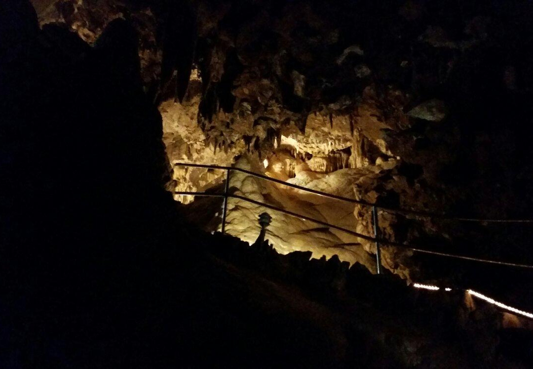 Lake Shasta Caverns景点图片