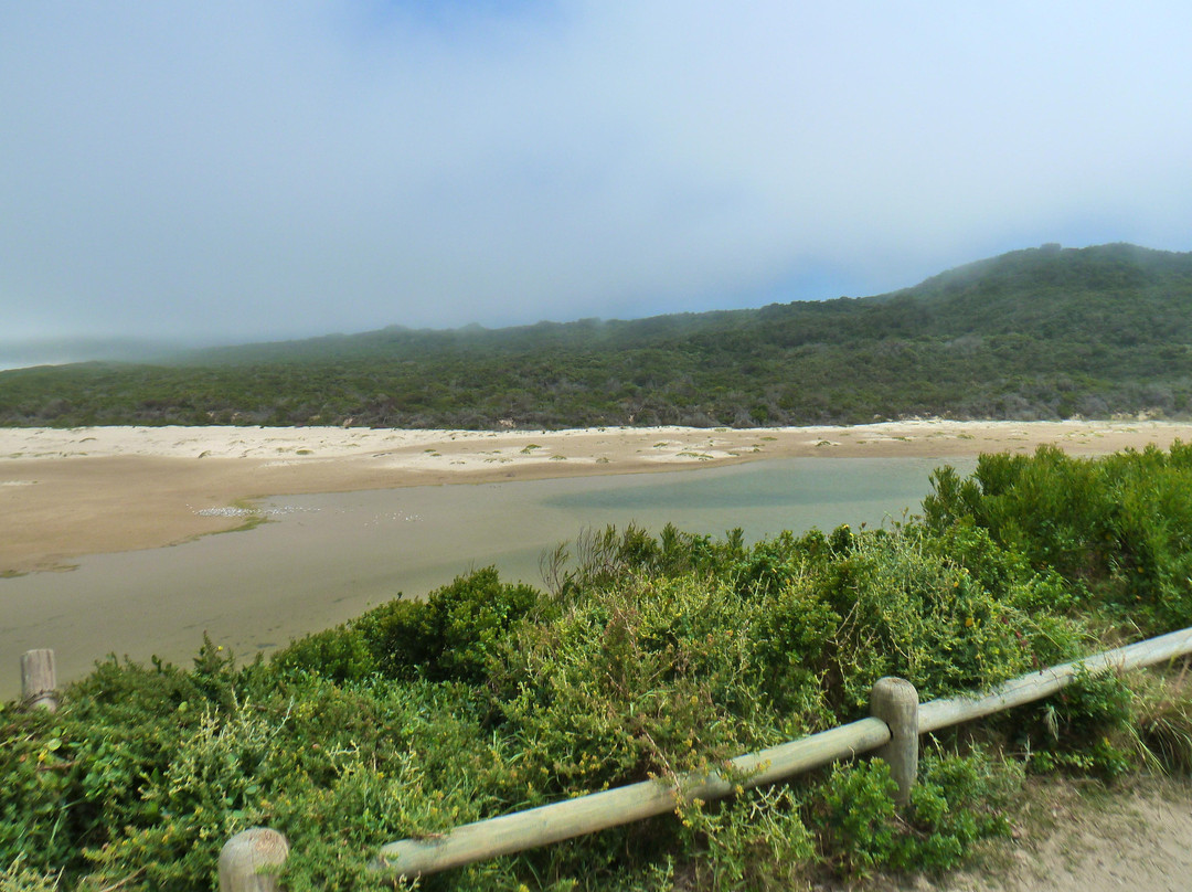Gerickes Point-Sedgefield必去景点