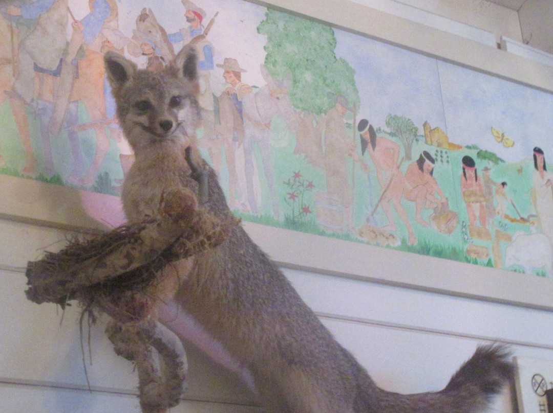 Museum of the San Ramon Valley-丹维尔必去景点