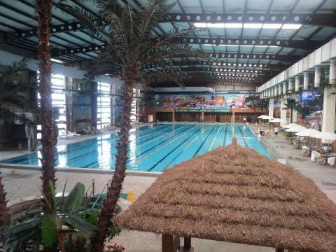 南宫温泉度假酒店-客卧