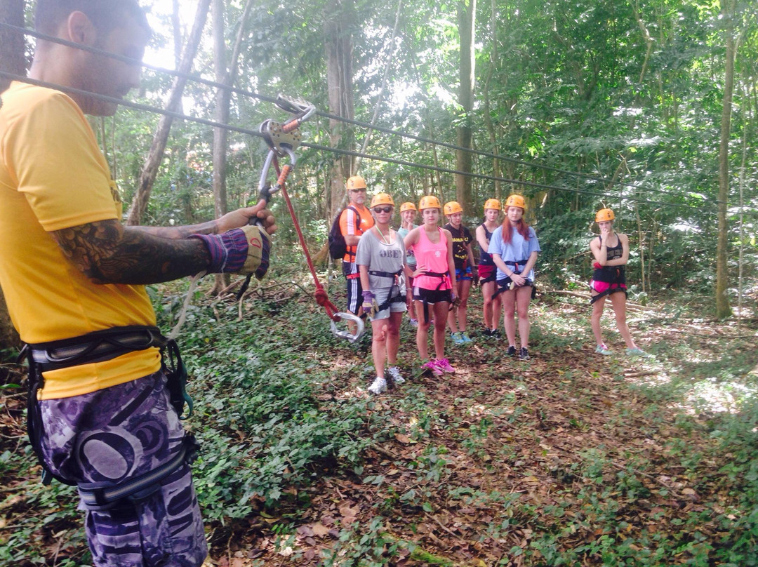 Tropical Adventures-多拉多必去景点