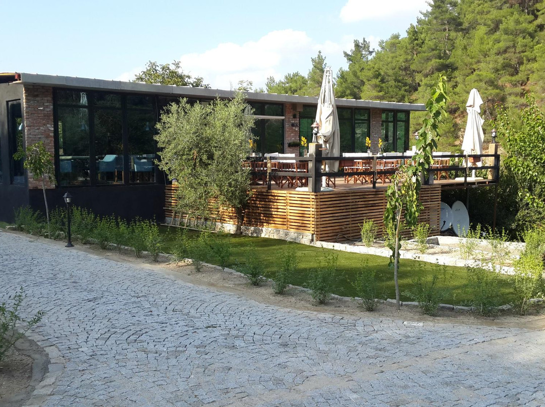 Manisa Province餐馆和美食-Loca+ coffee&bistro