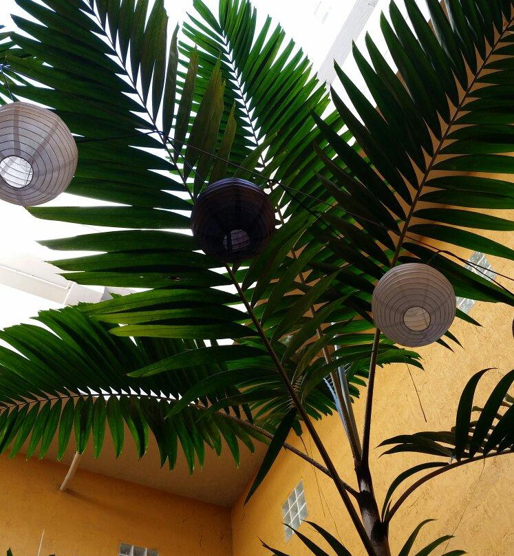 Cubaocho Museum and Performing Arts Center-迈阿密必去景点