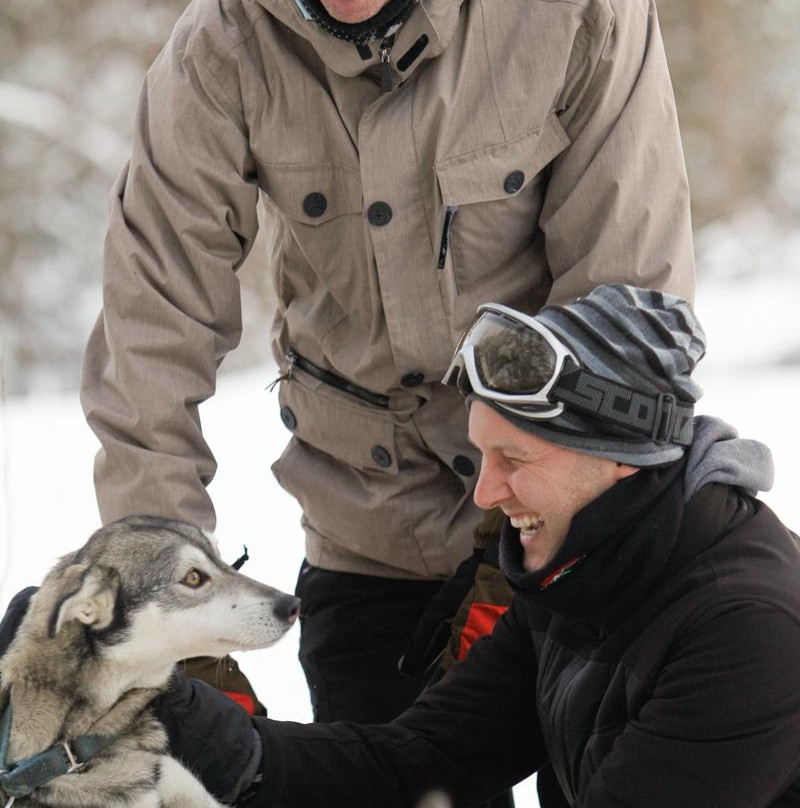 Golden Dog Sled Adventures-戈尔登必去景点