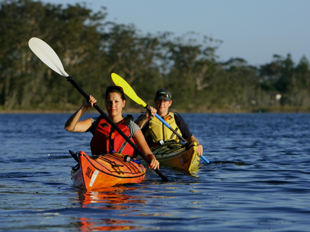 Bay and Beyond Sea Kayak Tours景点图片