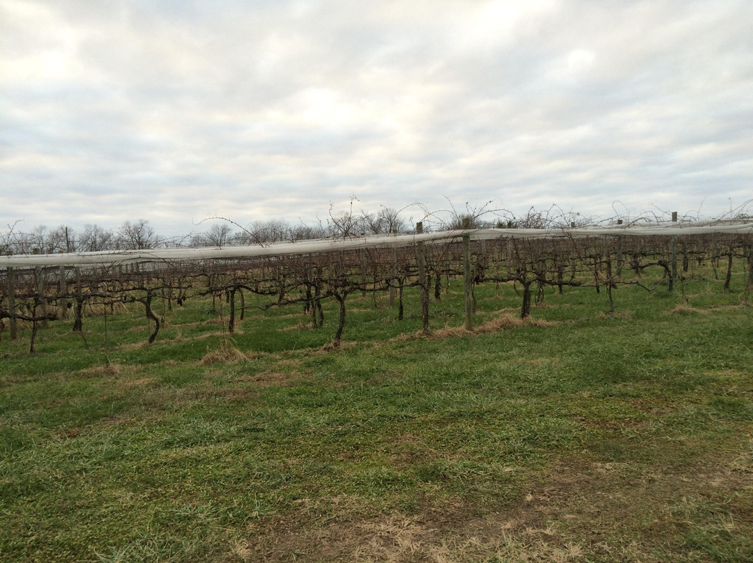 Grimes Mill Winery-列克星敦必去景点