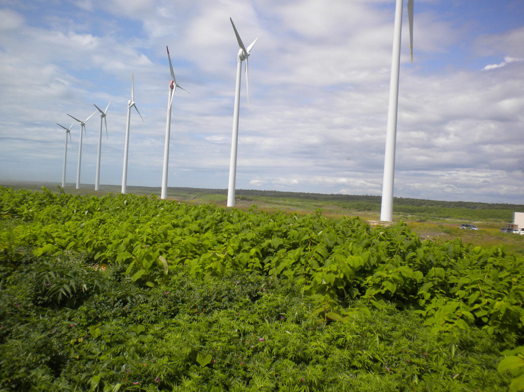 Otonrui Wind Power Factory-幌延町必去景点