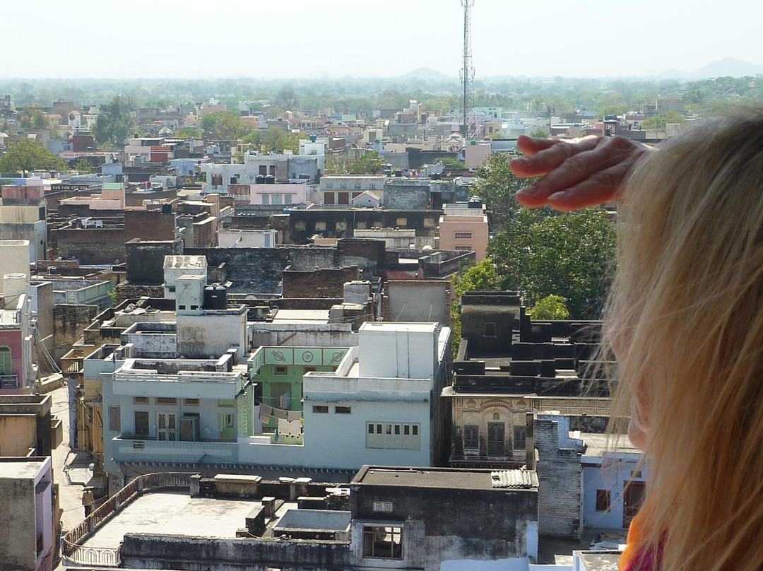 Village Culture Safari at Narnaul景点图片