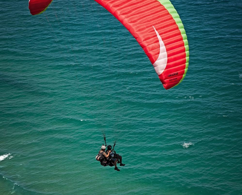 Dolphin Paragliding-Sedgefield必去景点