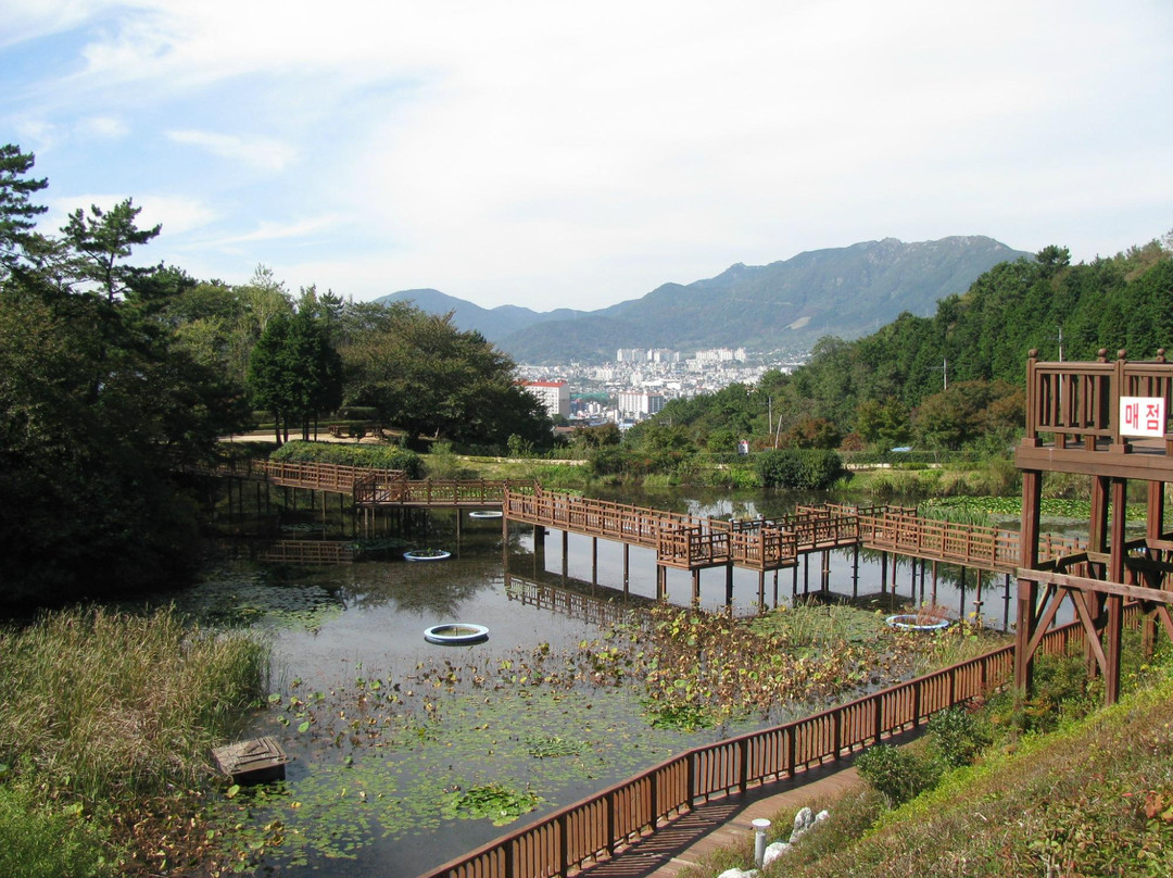 Jinhae Dream Park-昌原市必去景点