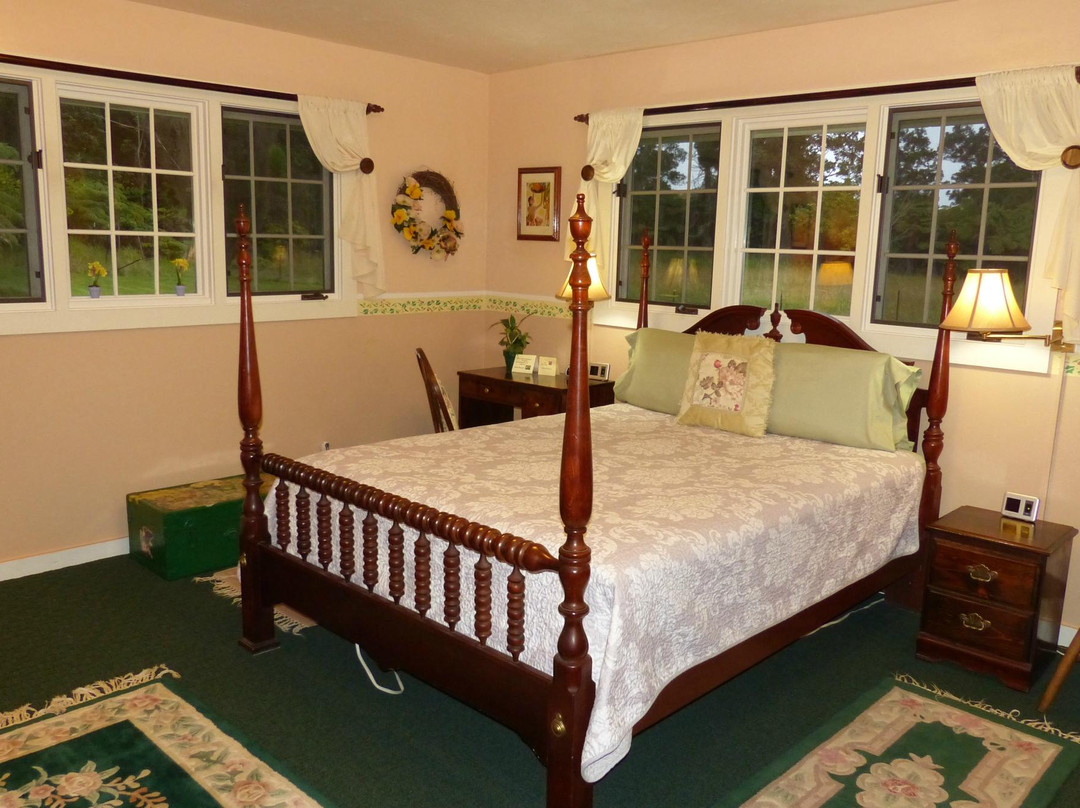 帕哈拉酒店住宿-路之尽头住宿加早餐旅馆