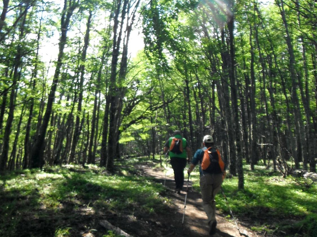 Senderos Patagonia-Villa Cerro Castillo必去景点