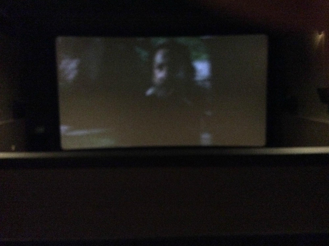 AMC Town Center 20-利伍德必去景点