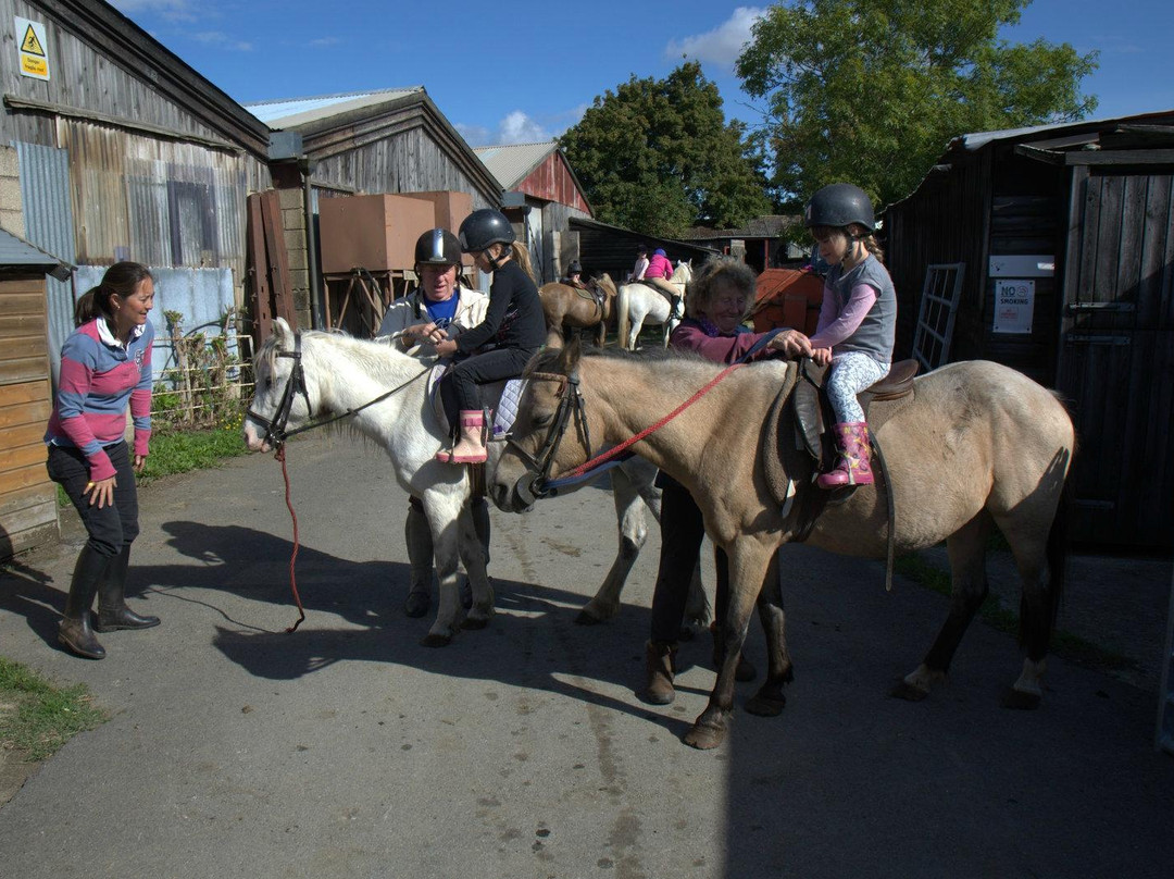 Moyfield Riding School景点图片