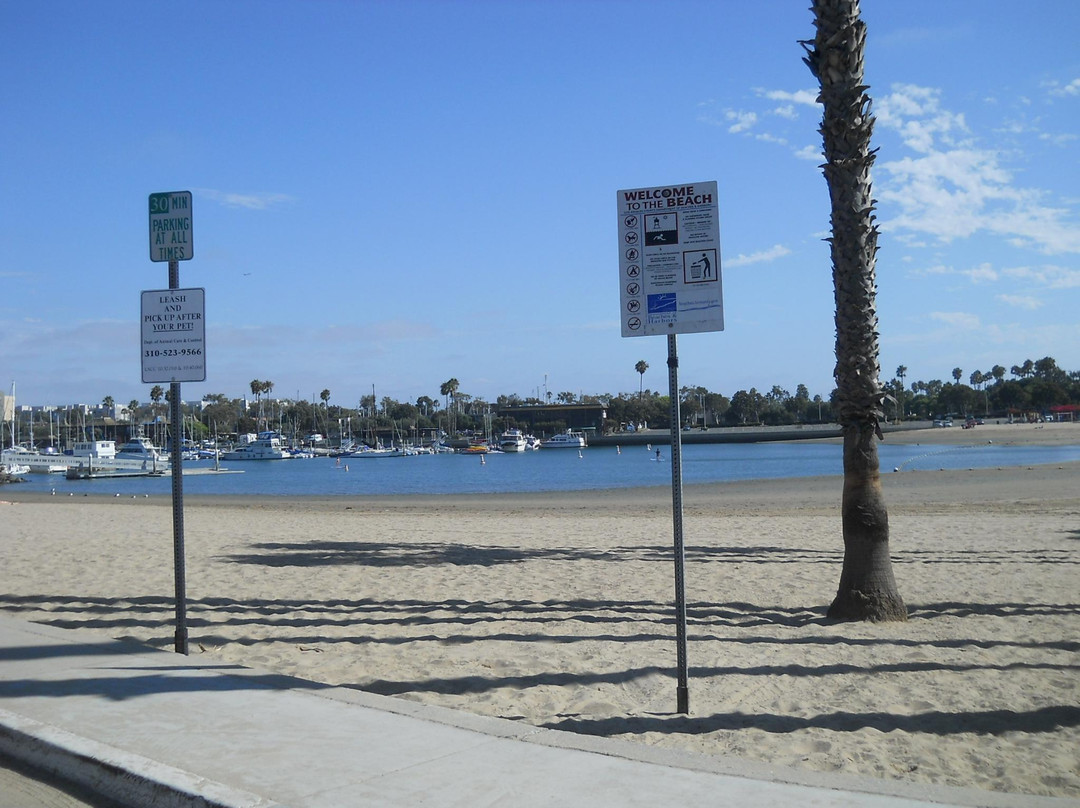 Marina Beach-玛丽安德尔湾必去景点