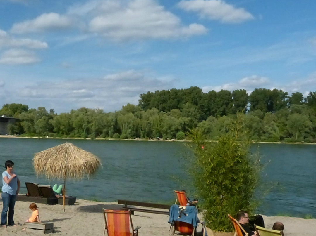 Rheinstrand Speyer景点图片