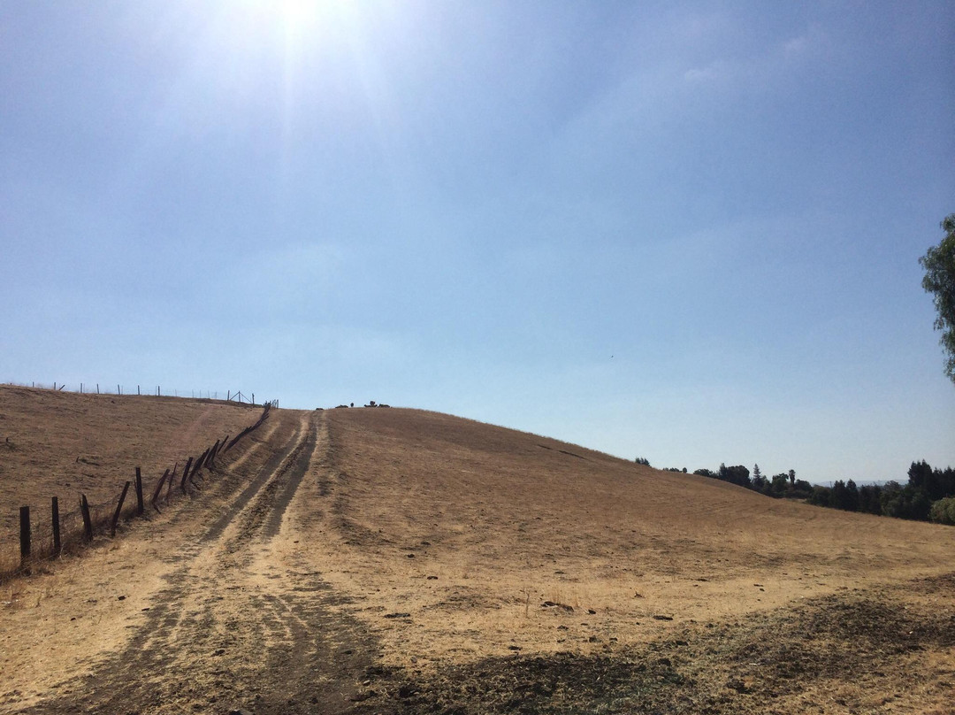 Jose Higuera Adobe Park-米尔皮塔斯必去景点