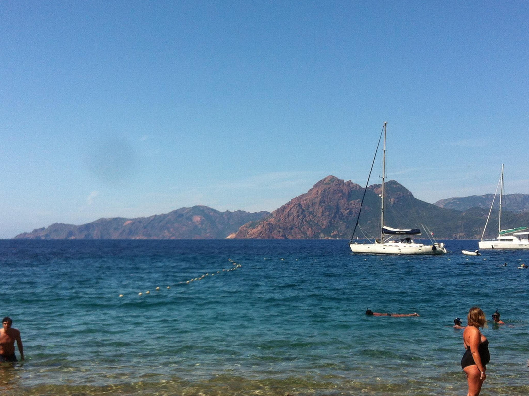 Plage de Ficajola景点图片