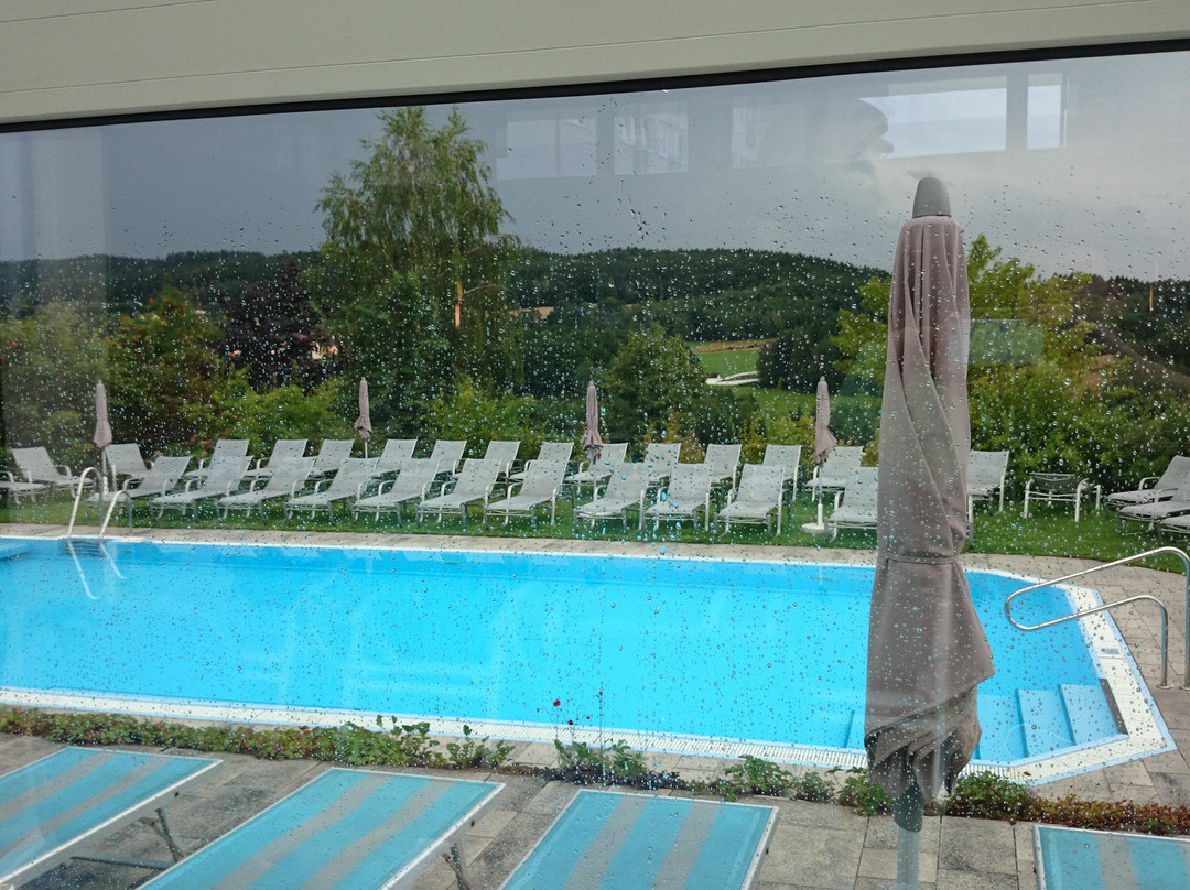 Moorbad Harbach旅游攻略图片