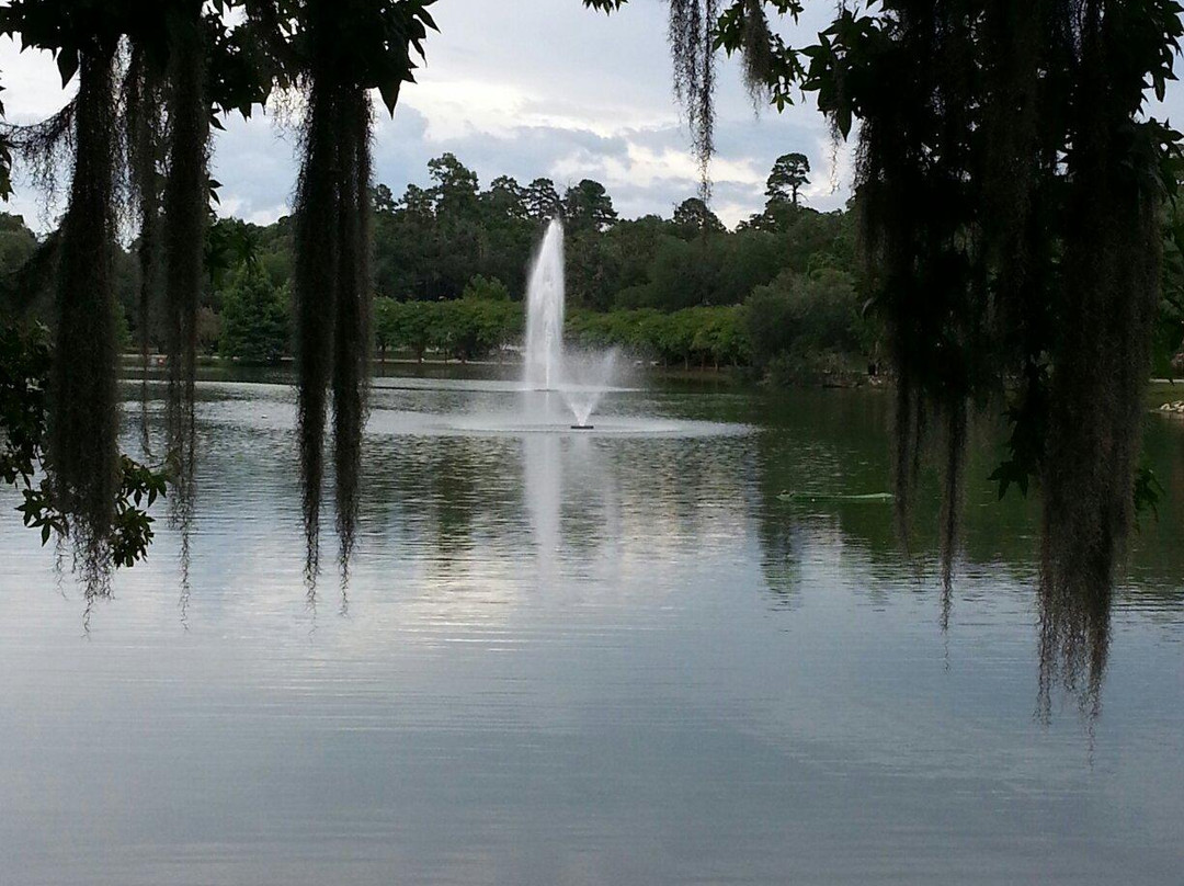 Lake Ella & Fred Drake Park-塔拉哈西必去景点
