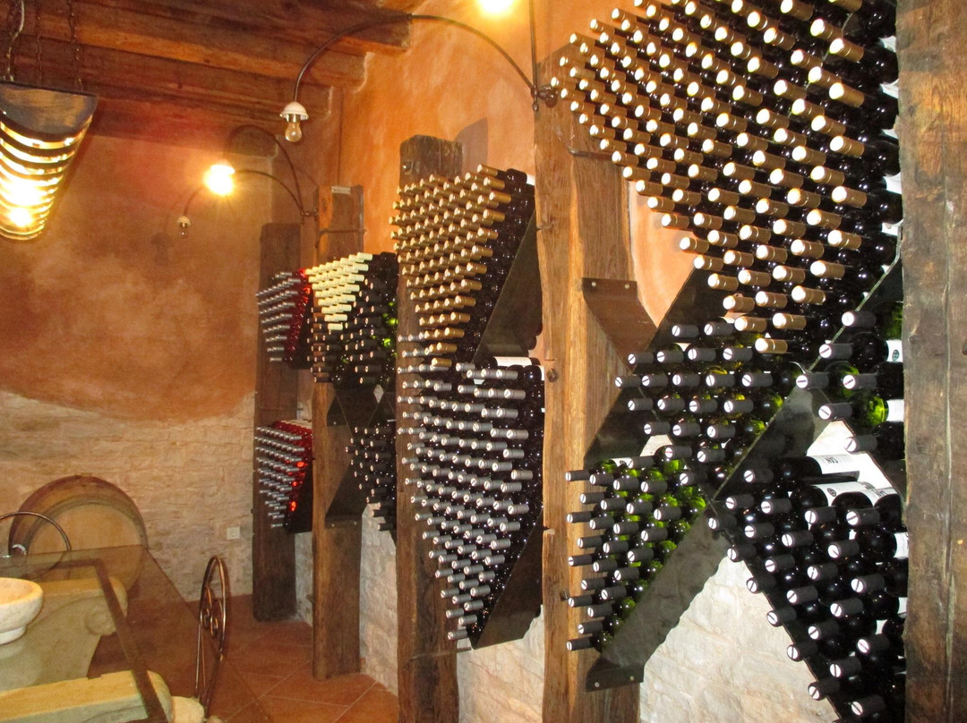 Winery San Tommaso-Bale必去景点