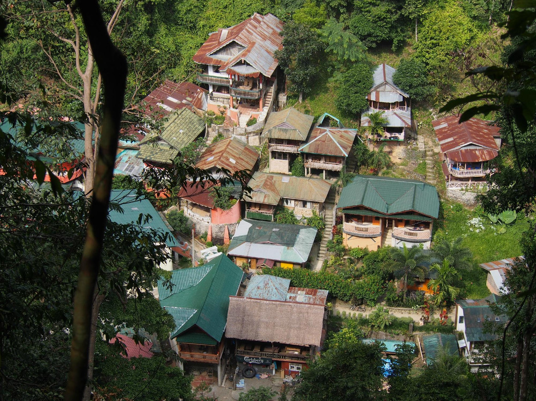 Bukit Lawang - Jungle Trekking Sumatra-武吉拉旺必去景点