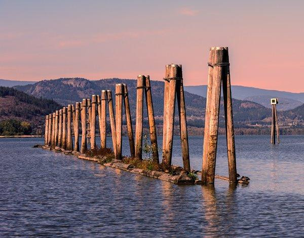 Salmon Arm Wharf景点图片