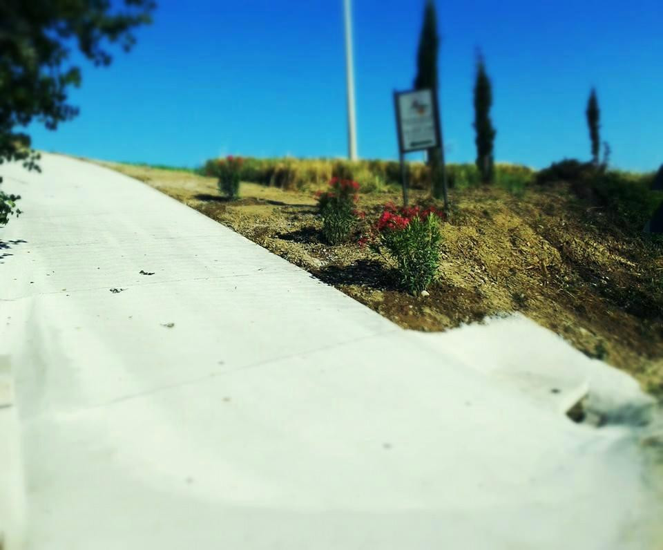 Offida酒店住宿-Agriturismo Casa Rosa