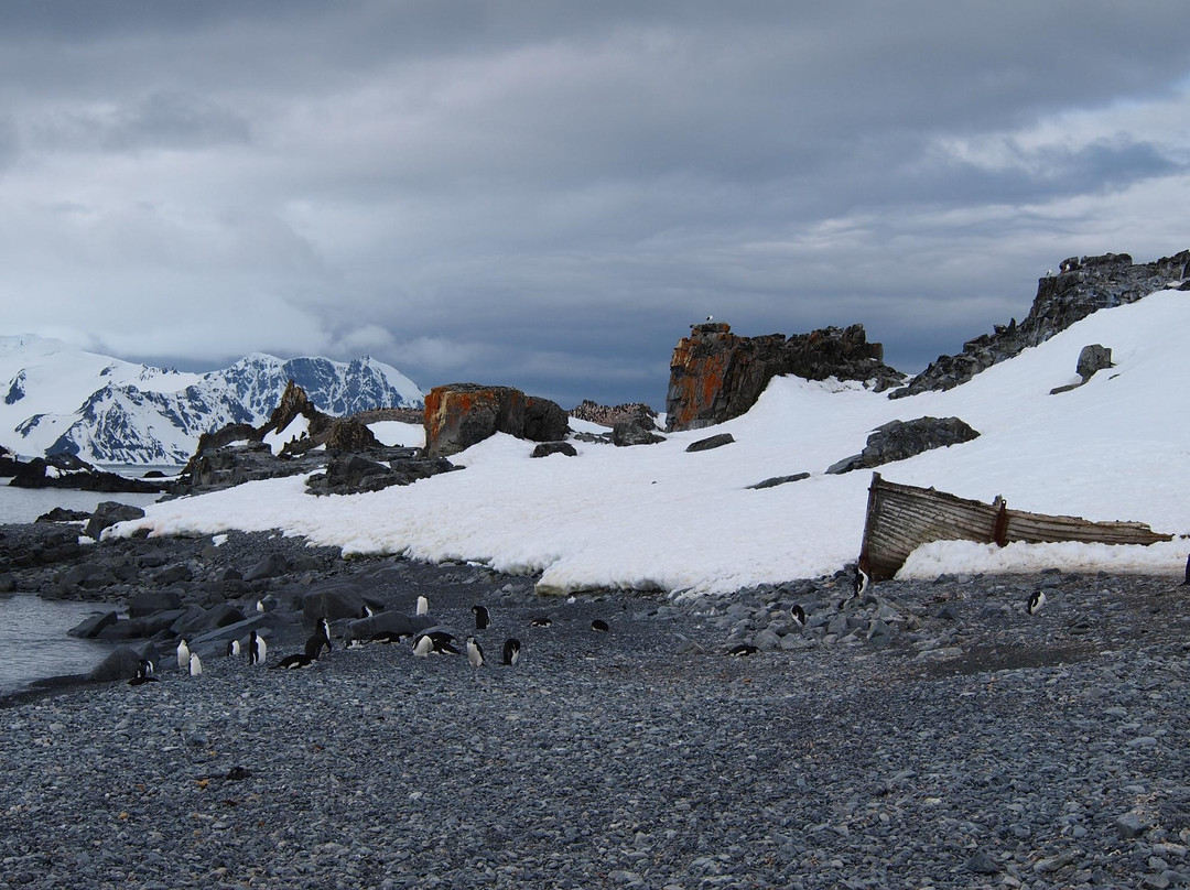Half Moon Island旅游攻略图片