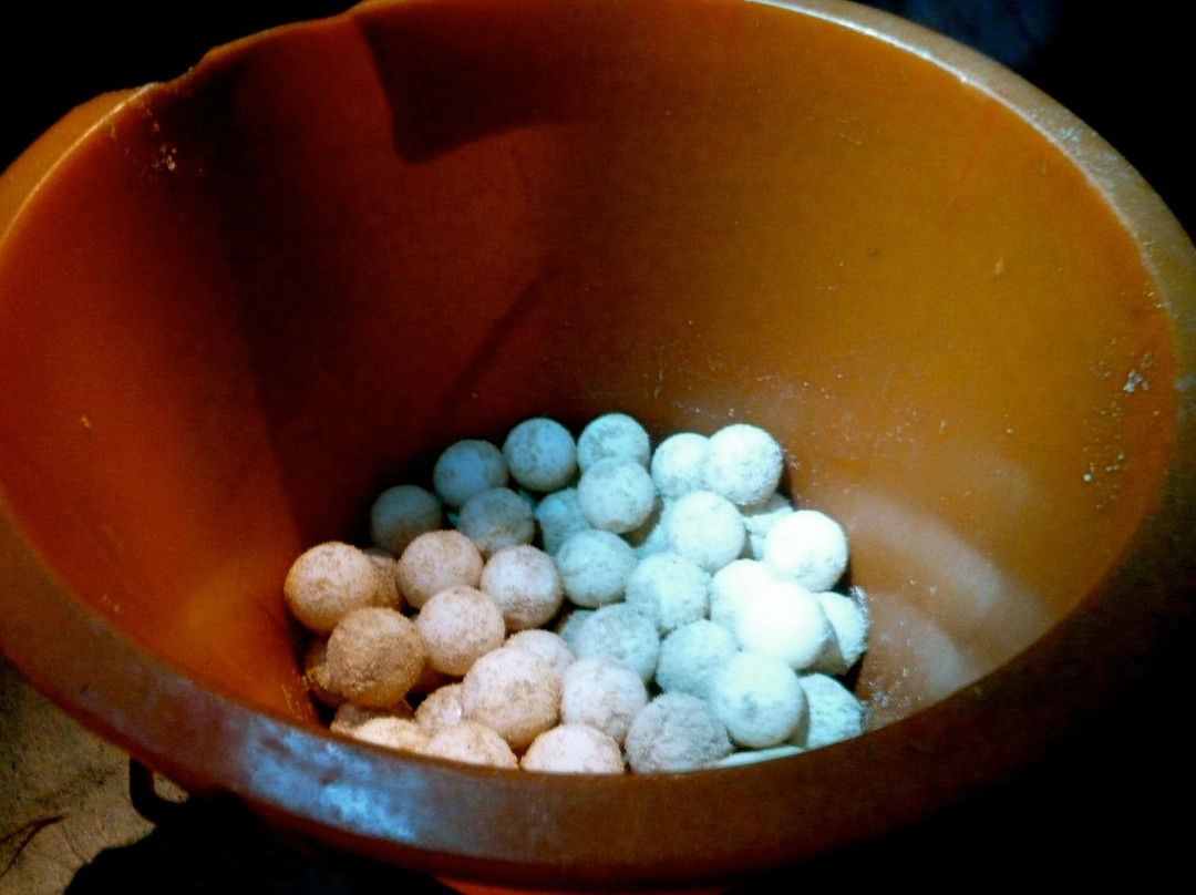 海龟岛-山打根必去景点