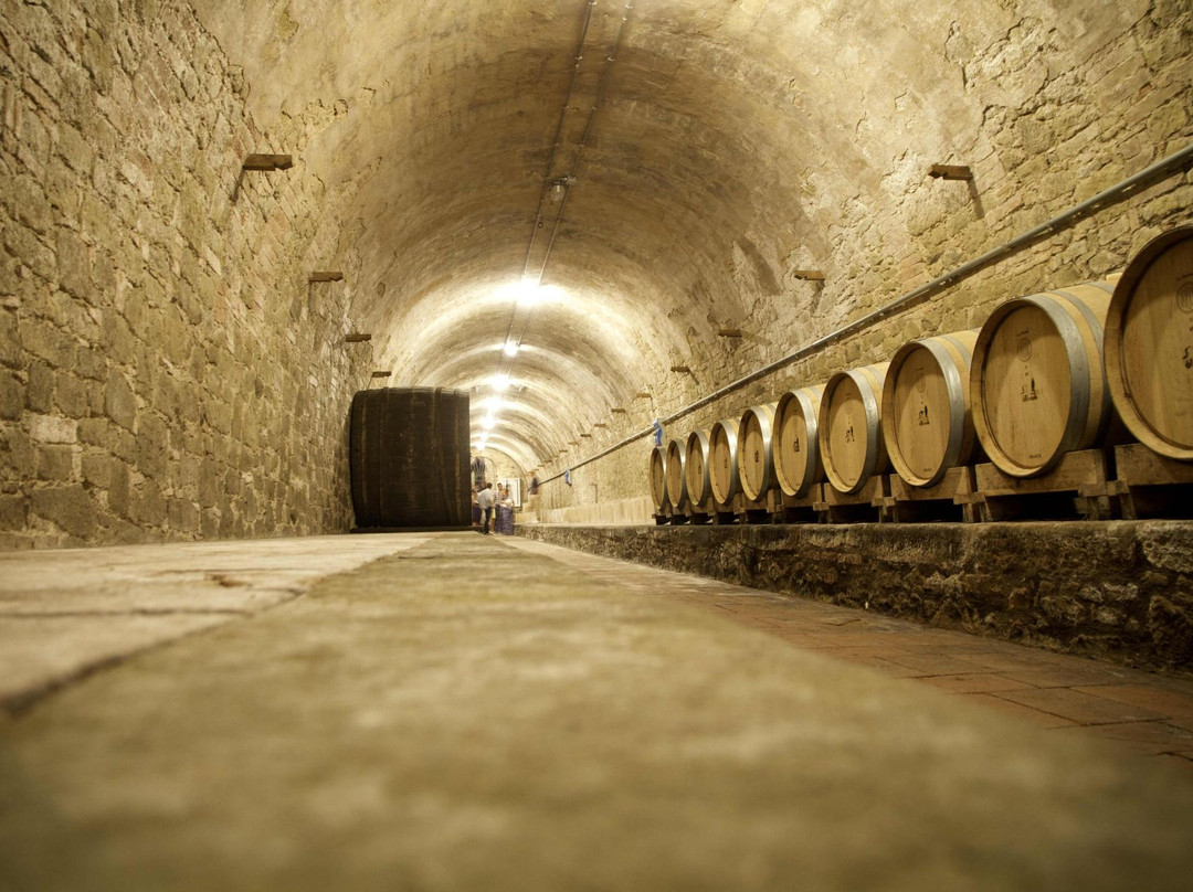 Conti Faina Winery景点图片